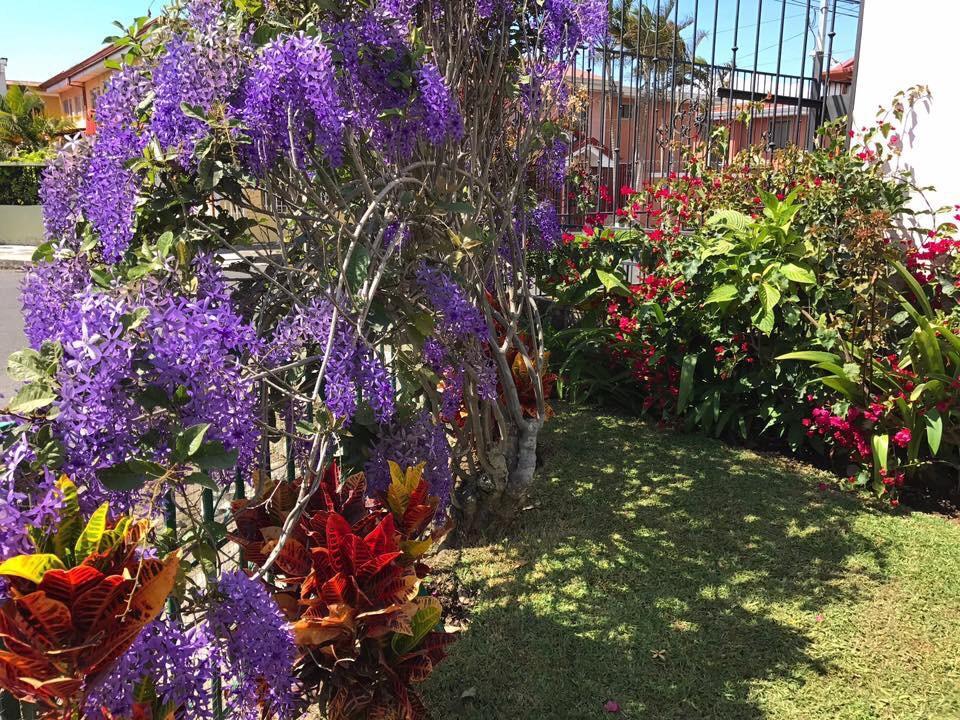 فندق Casa Kibi Kibi سان هوزيه المظهر الخارجي الصورة